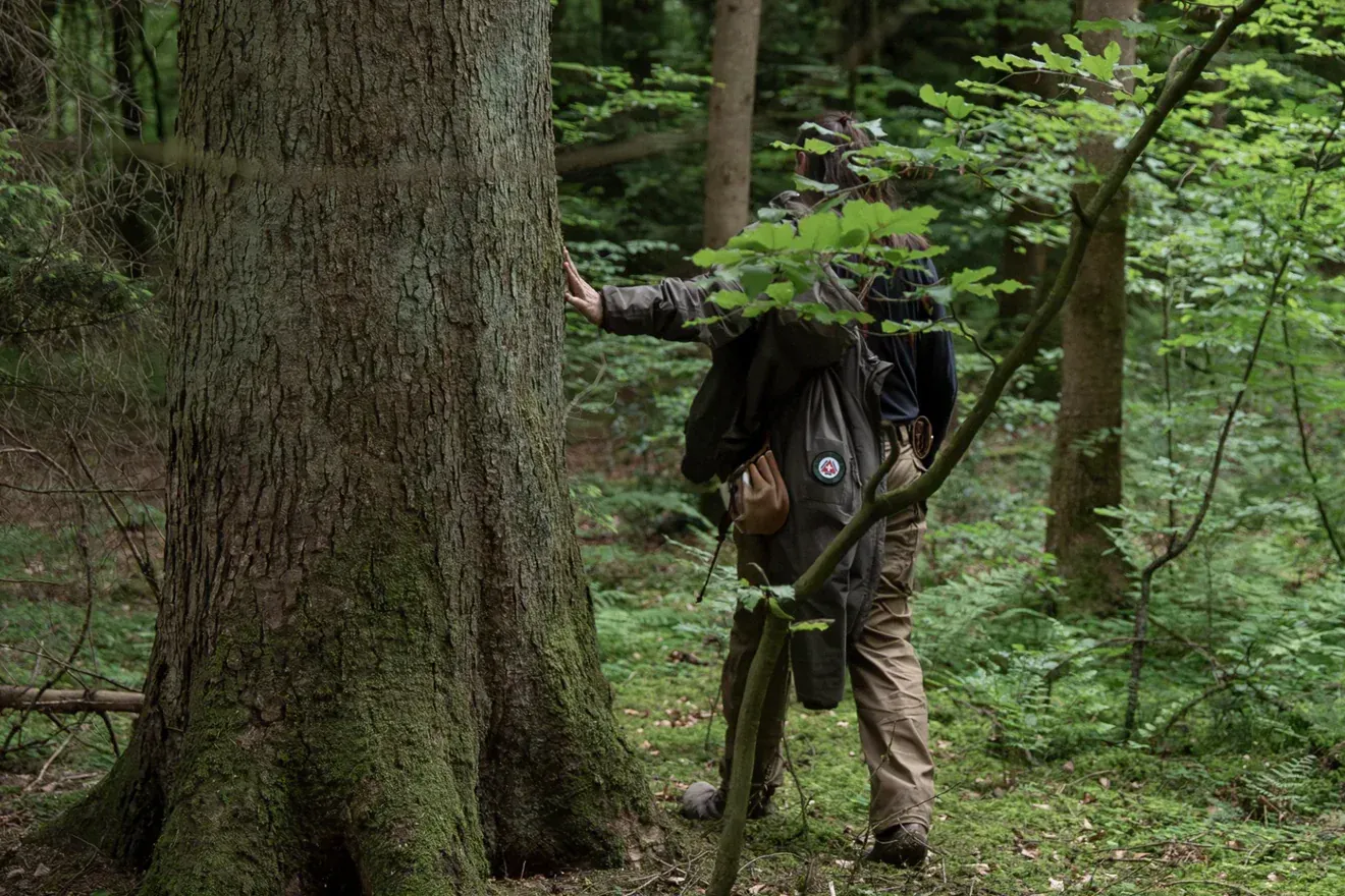Ein Mensch legt im Wald die Hand an einen alten Baumstamm