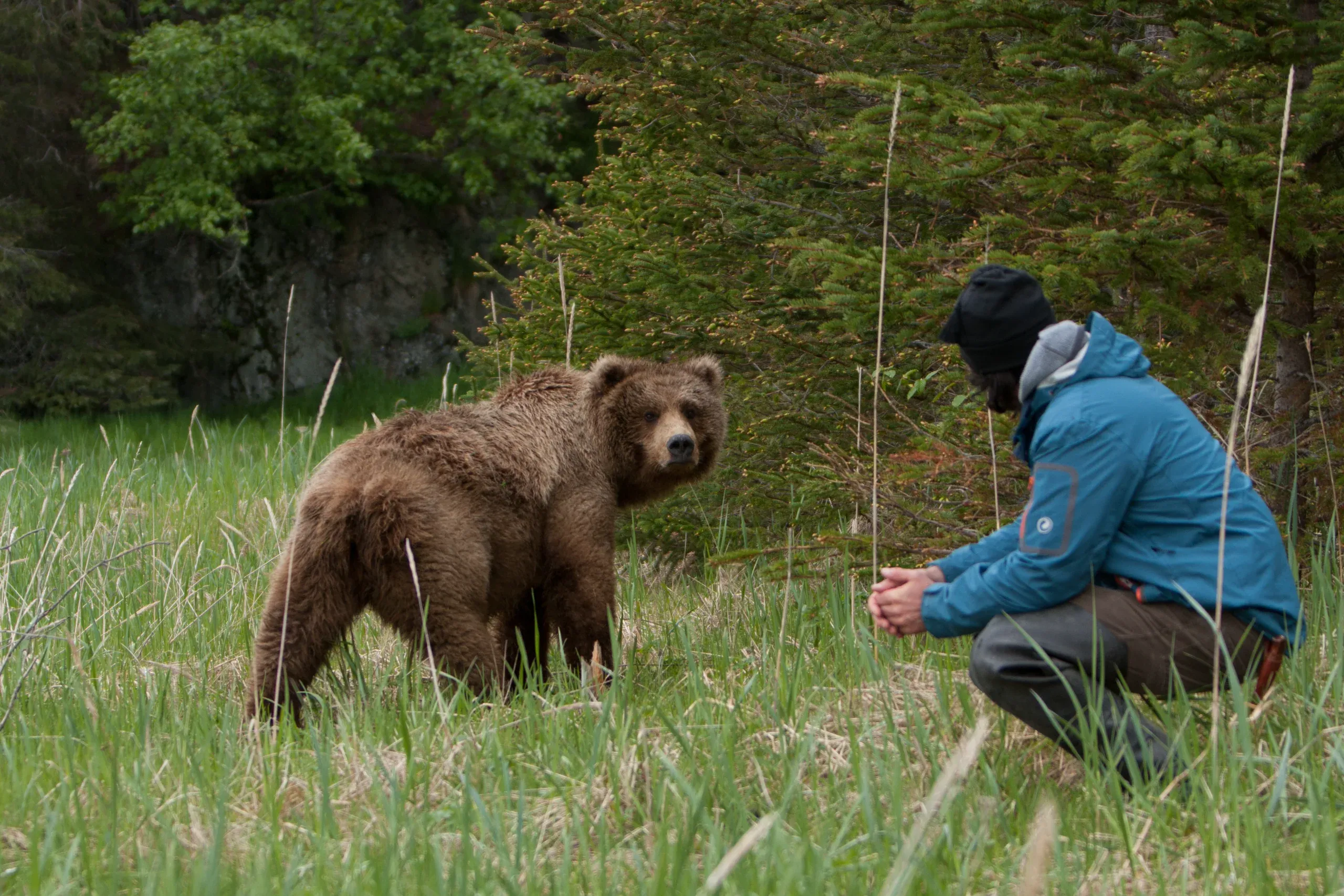 Reno Sommerhalder kauert im Gras vor einem Grizzly